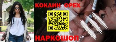 бошки Гай
